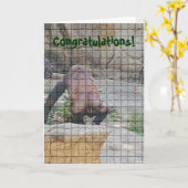 Verjaardag Kaart humoristisch, "Slecht gemanierde (Gele Bloem)