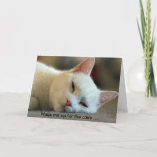 Verjaardag Kaart met Cat: Wake me up voor de taart