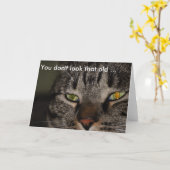 Verjaardag Kaart met kat: je ziet er niet zo oud u (Gele Bloem)