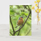 Verjaardag Kaart met mannetje Chaffinch (Fringilla (Gele Bloem)