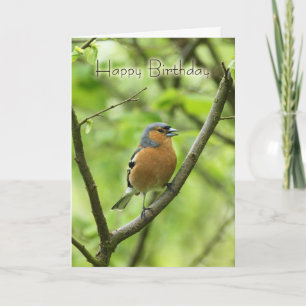 Verjaardag Kaart met mannetje Chaffinch (Fringilla