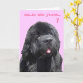 Verjaardag Kaart met Newfy (Gele Bloem)