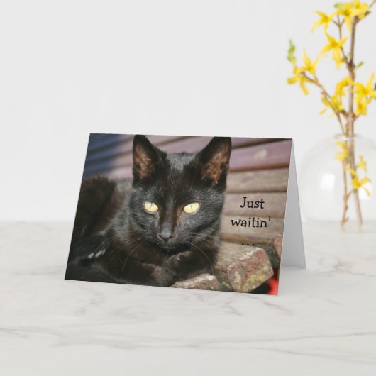 Verjaardag Kaart met prachtige zwarte kat (Gele Bloem)