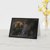 Verjaardag Kaart met slapend Beer - Relax (Gele Bloem)