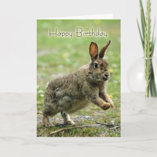 Verjaardag Kaart met wild konijn (Voorkant)
