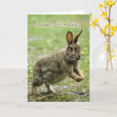 Verjaardag Kaart met wild konijn (Gele Bloem)
