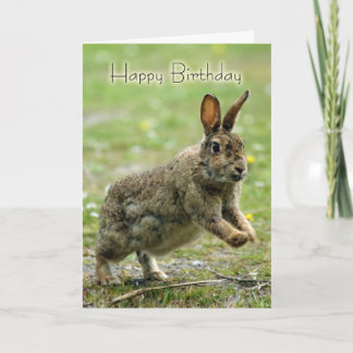Verjaardag Kaart met wild konijn