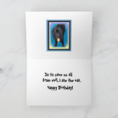 Verjaardag Kaart ~ Newfoundland Dog Humor (Binnen)