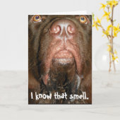 Verjaardag Kaart ~ Newfoundlander (Gele Bloem)