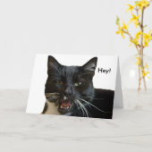 Verjaardag Kaart: Of anders kat Kaart (Gele Bloem)