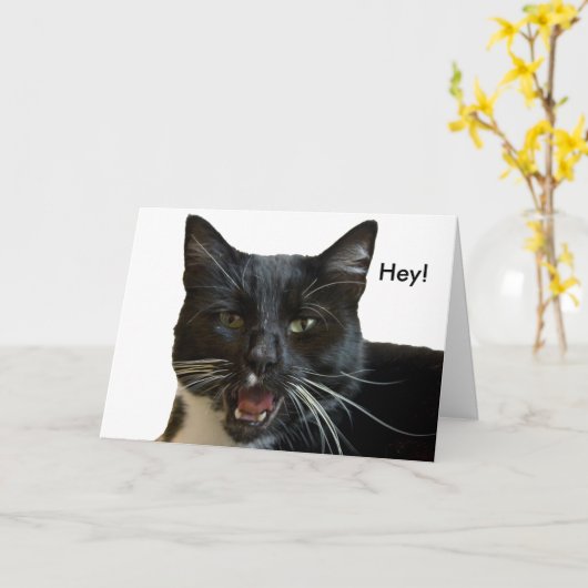 Verjaardag Kaart: Of anders kat Kaart (Gele Bloem)