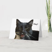 Verjaardag Kaart: Of anders kat Kaart (Voorkant)