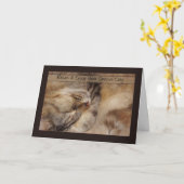 Verjaardag Kaart Relax met slapende Maine Coon Cat (Gele Bloem)