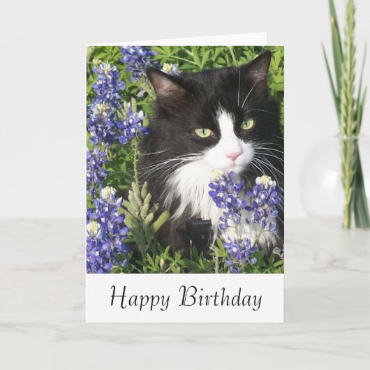Verjaardag Kaart Tuxedo Cat in Texas Bluebonnets (Voorkant)