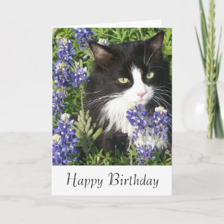 Verjaardag Kaart Tuxedo Cat in Texas Bluebonnets