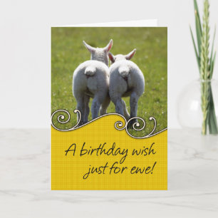 Verjaardag Kaart - Twee Baby lammeren