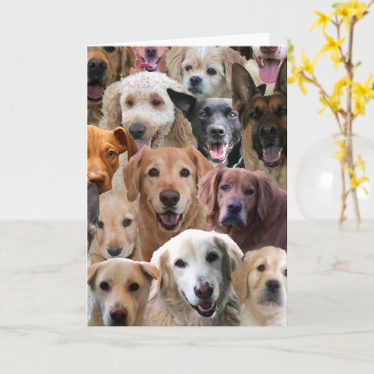 Verjaardag Kaart van een groep (Gele Bloem)