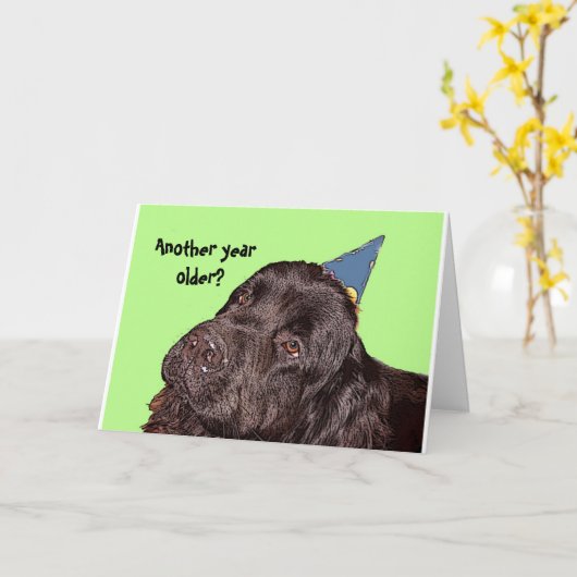 Verjaardag Kaart van Newfoundland (Gele Bloem)