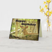 Verjaardag Kaart - Whitetail Deer Buck in Velvet (Gele Bloem)
