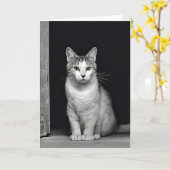 Verjaardag Kat in Doorway Kaart (Gele Bloem)
