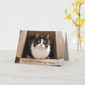 Verjaardag Kat in Kartonnen Doos Kaart (Gele Bloem)