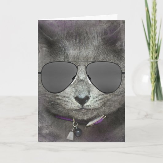 Verjaardag Kat met Aviator Zonnebril Kaart (Voorkant)