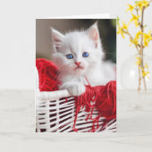 Verjaardag Kat met geklonken rood garen Kaart (Gele Bloem)