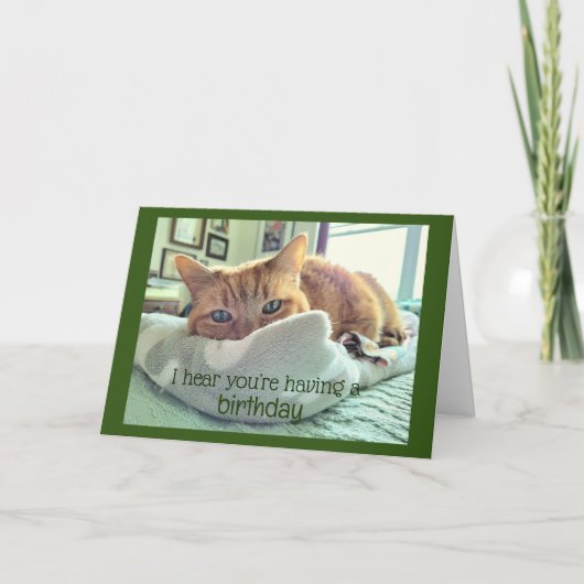 Verjaardag Kat Naps Kaart (Voorkant)