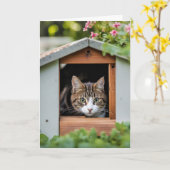 Verjaardag Kat Verbergen in Hondenhuis Kaart (Gele Bloem)