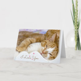 Verjaardag Katten in Bed Kaart
