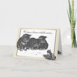 Verjaardag kittenkikker kaart
