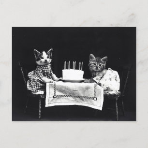 Verjaardag Kittens Briefkaart