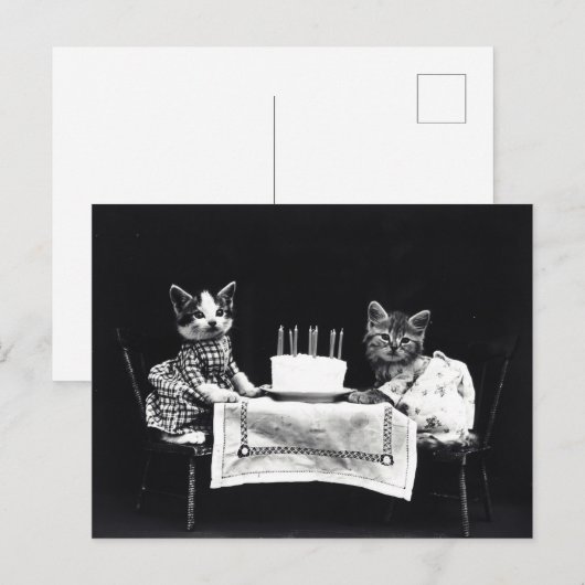 Verjaardag Kittens Briefkaart (Voorkant / Achterkant)