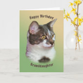 Verjaardag, kleindochter, Golden-eyed Cat, Kaart (Gele Bloem)