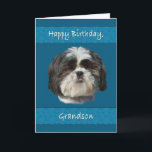 Verjaardag, kleinzoon, Shih Tzu Dog Kaart<br><div class="desc">Deze kleine Shih Tzu-hond met zijn schattige knuffelige gezicht voegt aantrekkingskracht toe die elke dierenliefhebber leuk zal vinden. Het is vooral leuk voor een verjaardagsfeest wenskaart.</div>