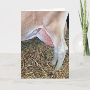 Verjaardag Koe die op hooi staat Kaart