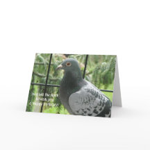 Verjaardag Koele Duif