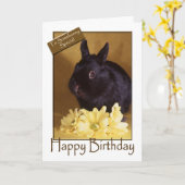 Verjaardag - Konijntje en het Wenskaart van Kaart (Gele Bloem)