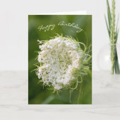 verjaardag-koningin Anne's Lace macro Kaart (Voorkant)