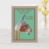 Verjaardag, Lachende Llama Kaart (Gele Bloem)