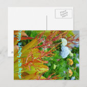 Verjaardag met Aloha briefkaart (Voorkant / Achterkant)