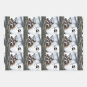 Verjaardag Mischief: Schattige wasbeer vieren Inpakpapier Vel (Voorkant)