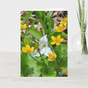 Verjaardag Moerasboterbloemen en Trillium Kaart