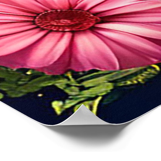 Verjaardag nijlpaard met taart en ballonnen poster (Hoek)