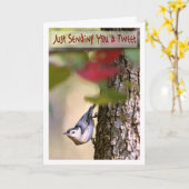 Verjaardag - Nuthatch Wenskaart Kaart (Gele Bloem)