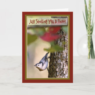Verjaardag - Nuthatch Wenskaart Kaart