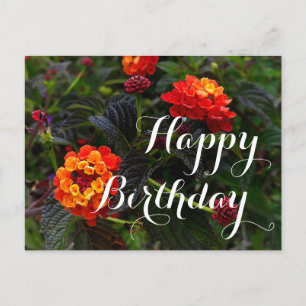 Verjaardag Oranje Rood Trailing Lantana #1 Post Briefkaart