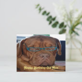 Verjaardag oude man hond bedrukt briefkaart (Staand voorkant)
