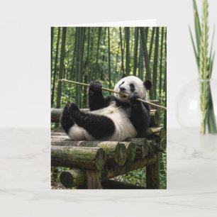 Verjaardag Panda op een houten platform Kaart