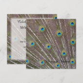 Verjaardag Peacock Feathers Kaart (Voorkant / Achterkant)